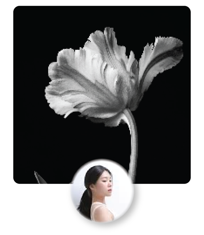 Artboard 4 copy 2@2x